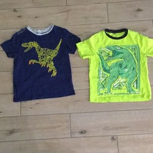 Boys Dino t shirts
